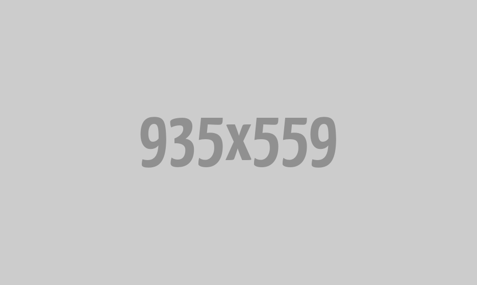 BREZ IZKUŠENJ SEM DOBIL DELO DISPONENTA ! IN JIH POZITIVNO PRESENETIL Z DELOM